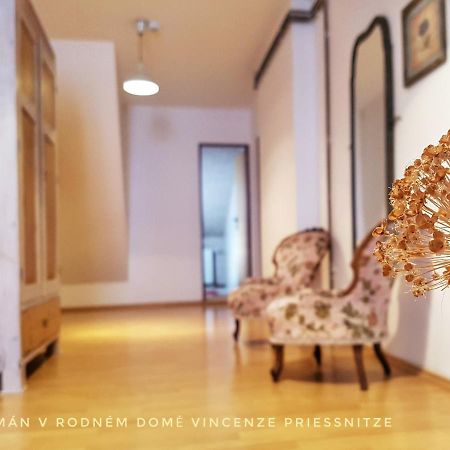 Apartmá v Rodném domě Vincenze Priessnitze v centru lázní Jeseník Exterior foto